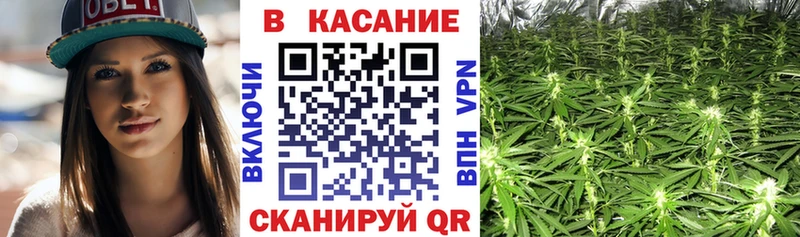 Наркошоп купить Марихуана Псилоцибиновые грибы Codein Мефедрон Alpha-PVP АМФ Кондопога